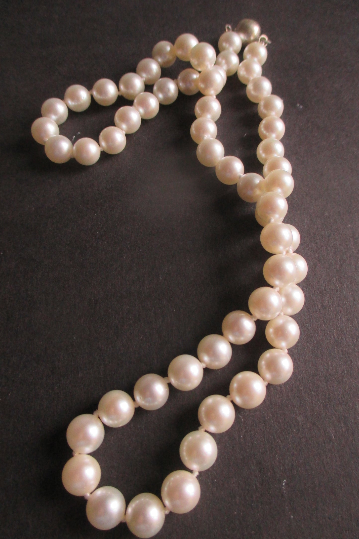 White sea pearl necklace