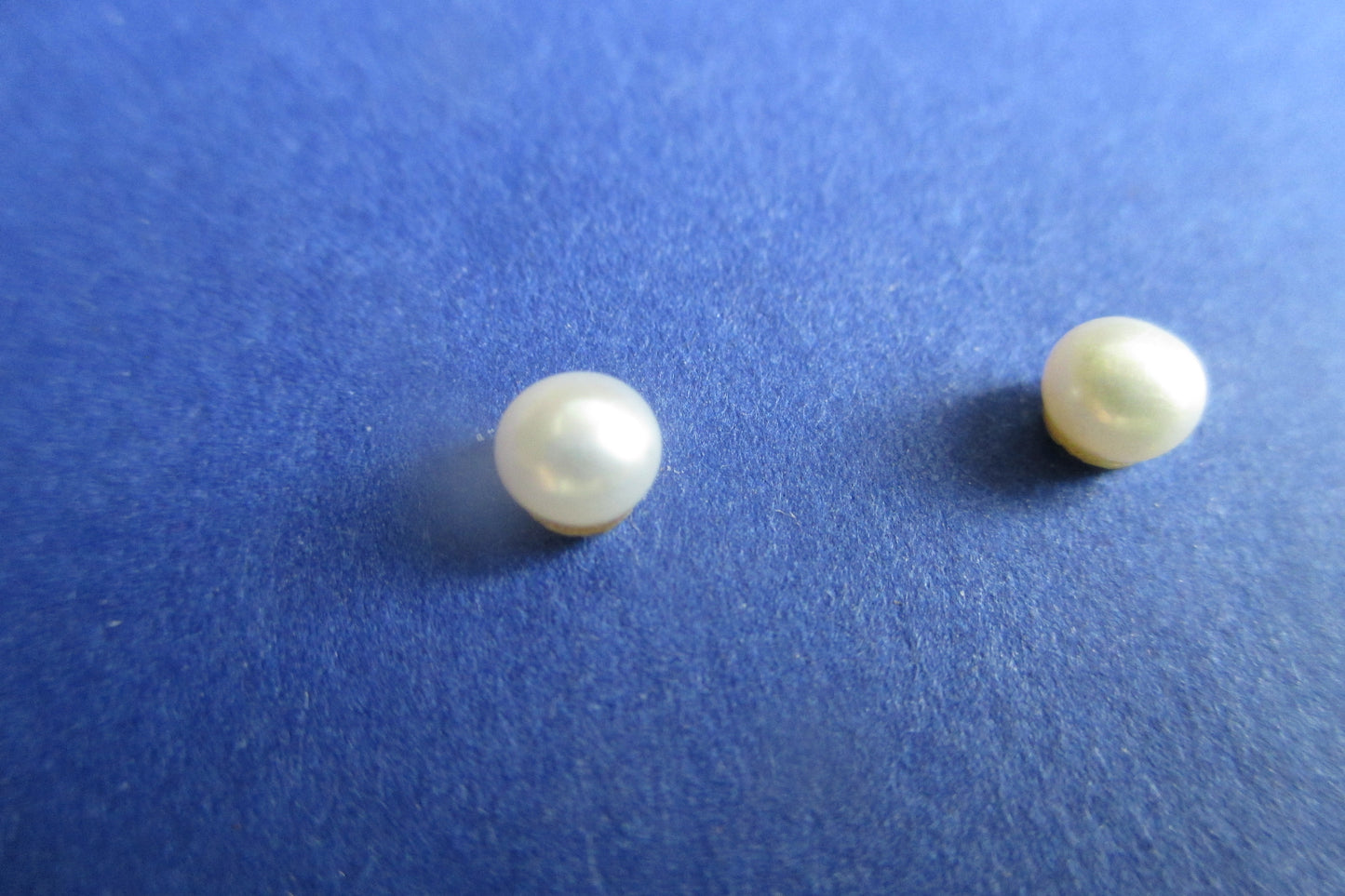 Stud pearl earrings