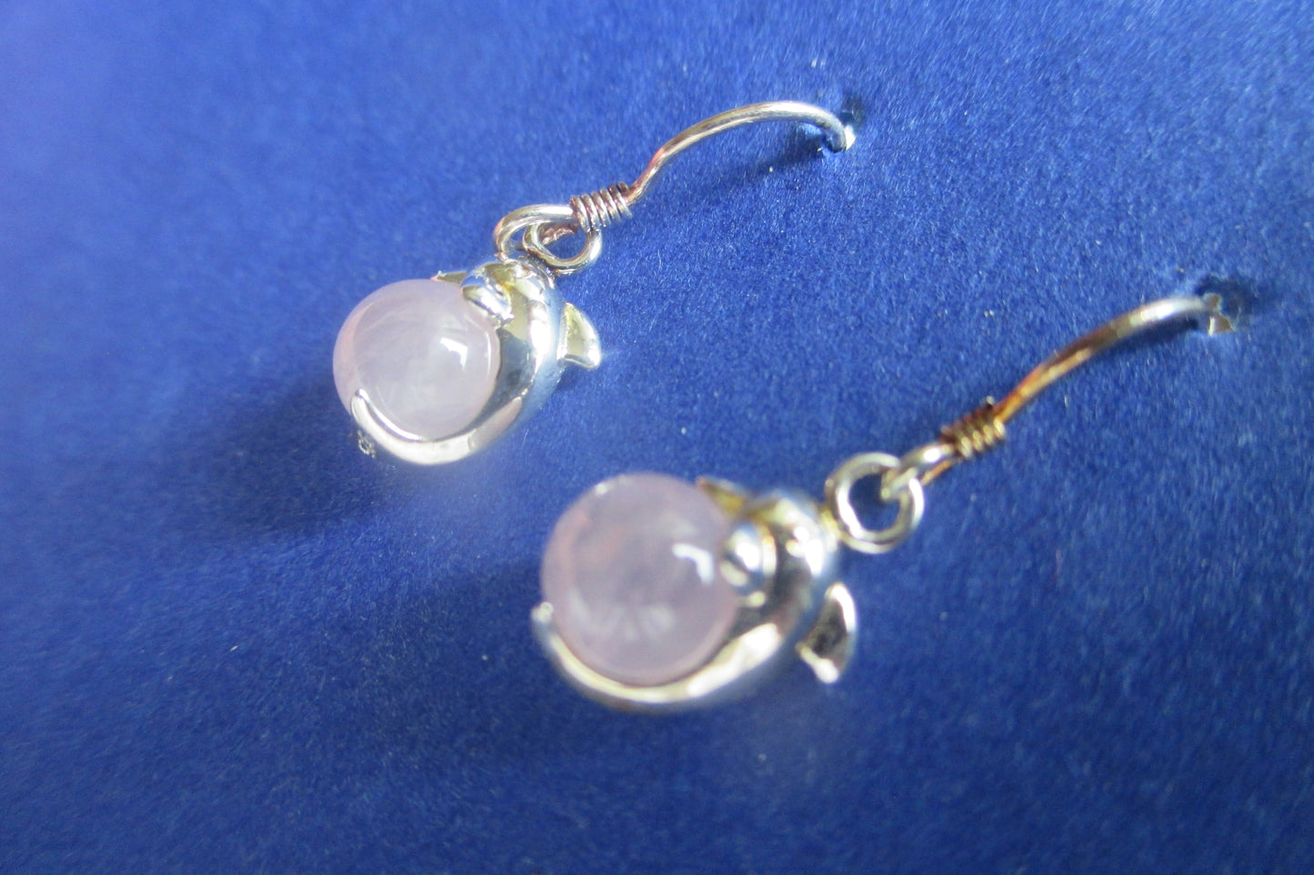 Dolphin hook earrings