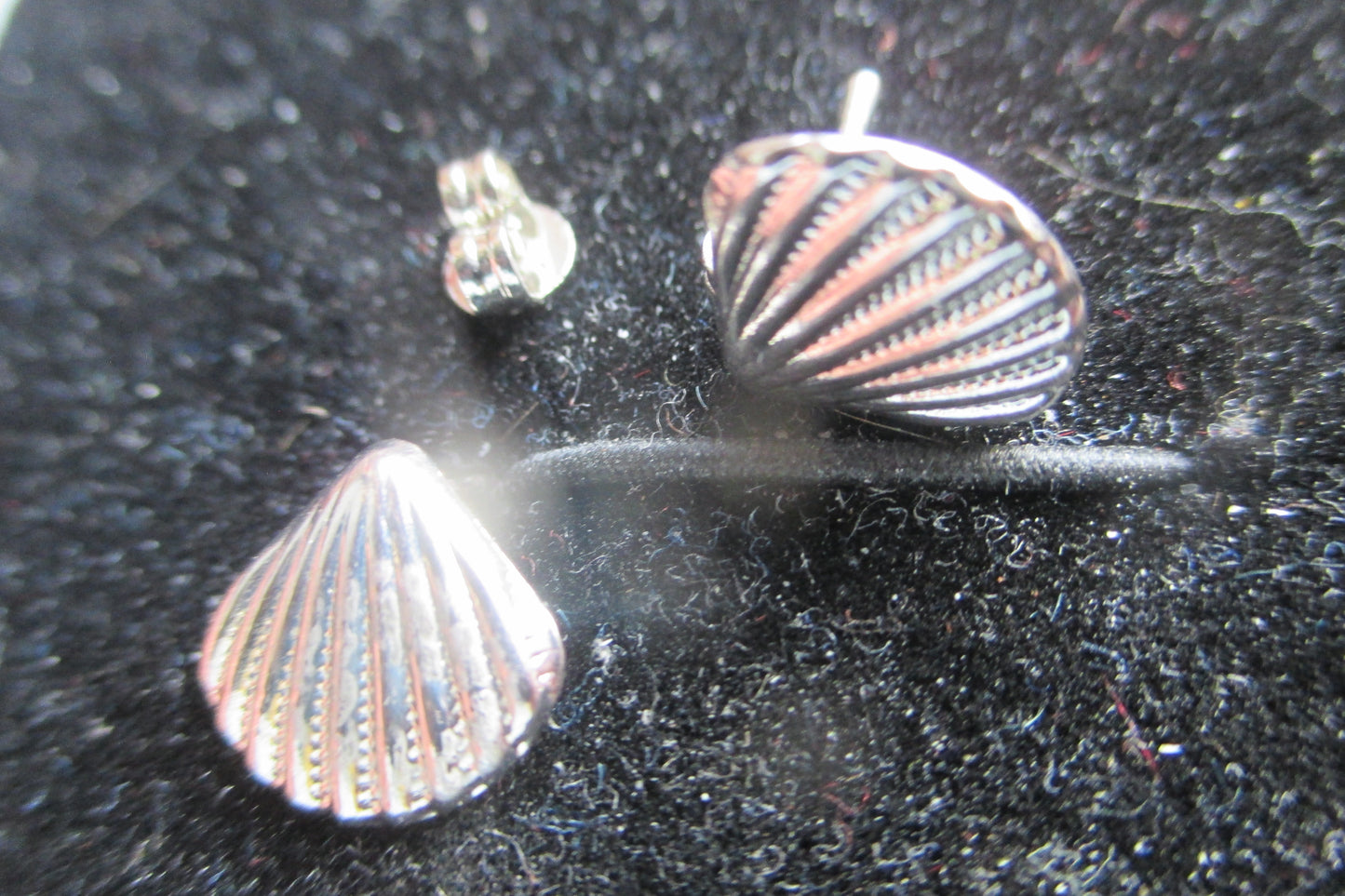 Silver sea shell stud earrings