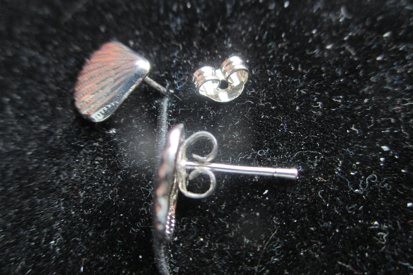 Silver sea shell stud earrings