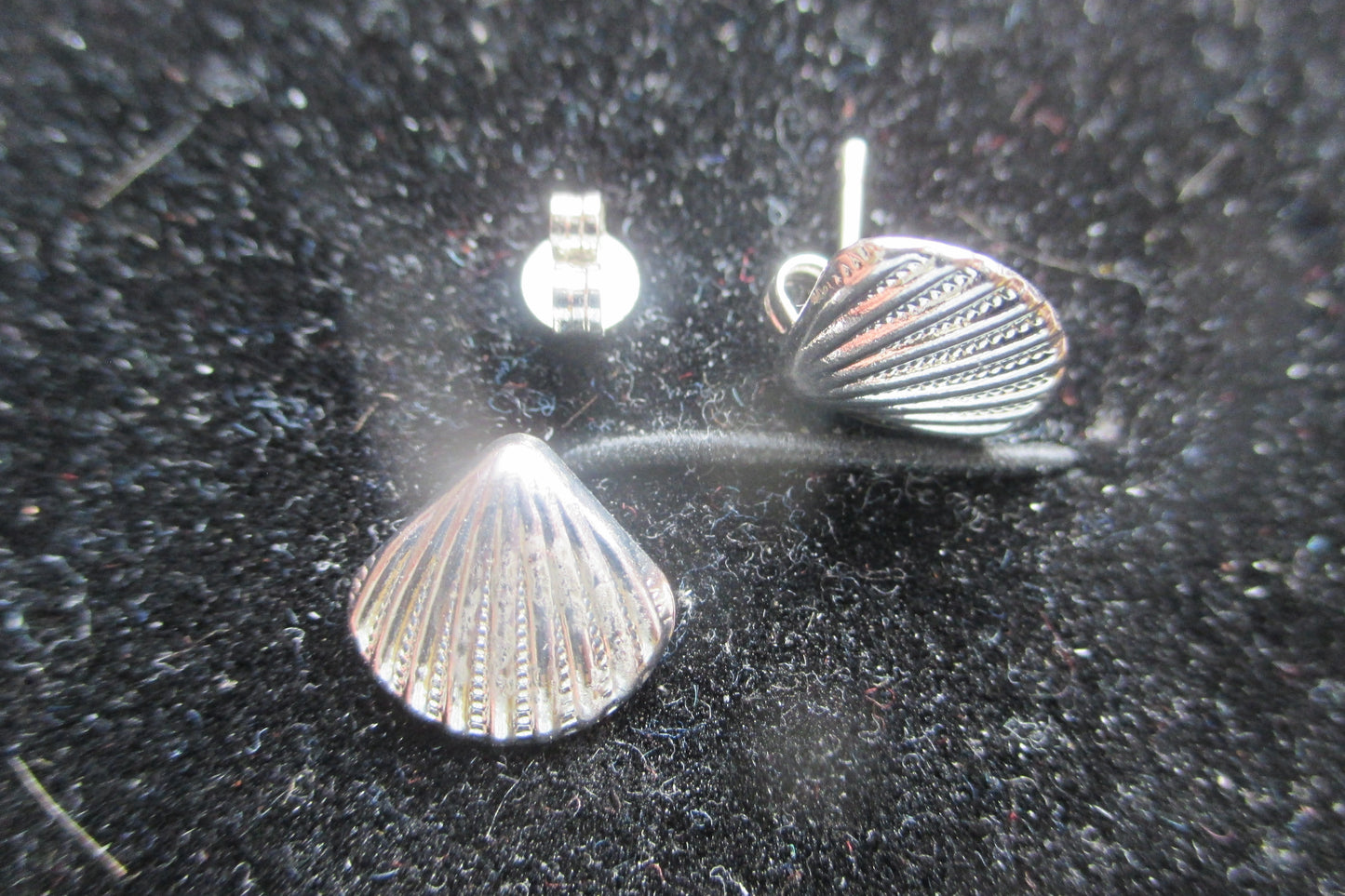 Silver sea shell stud earrings