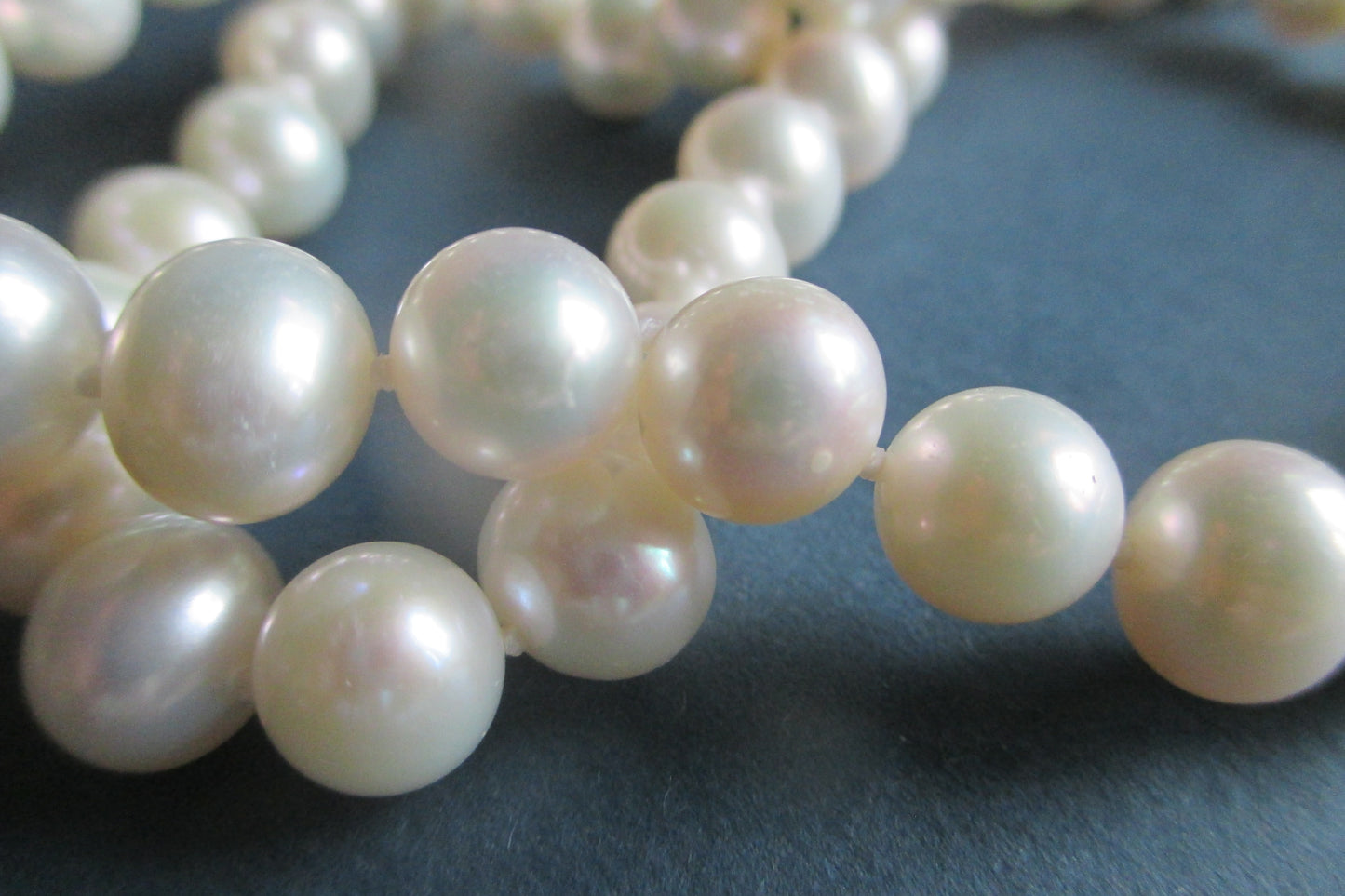 White Akoya pearl necklace