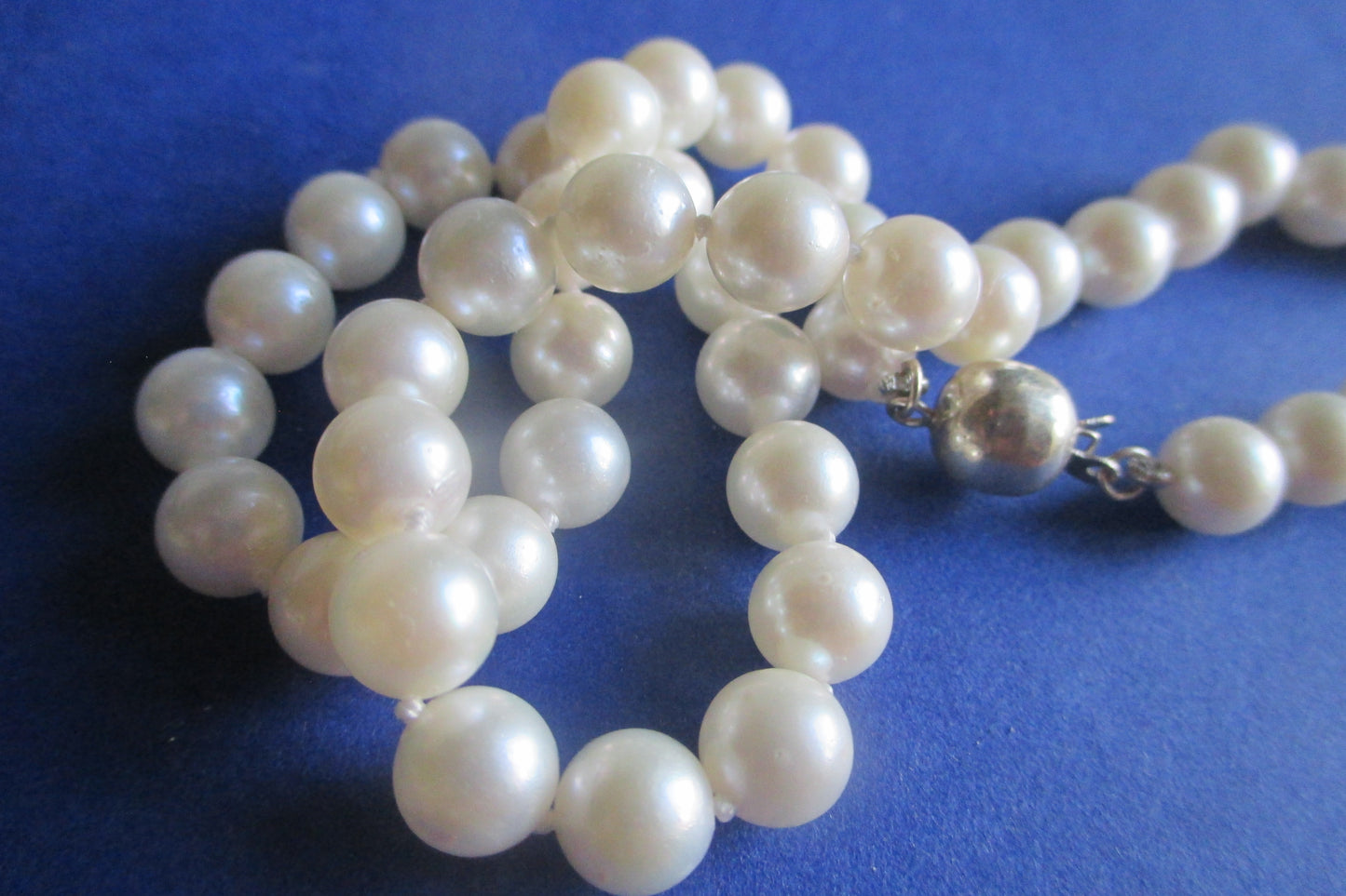 White sea water pearl necklace