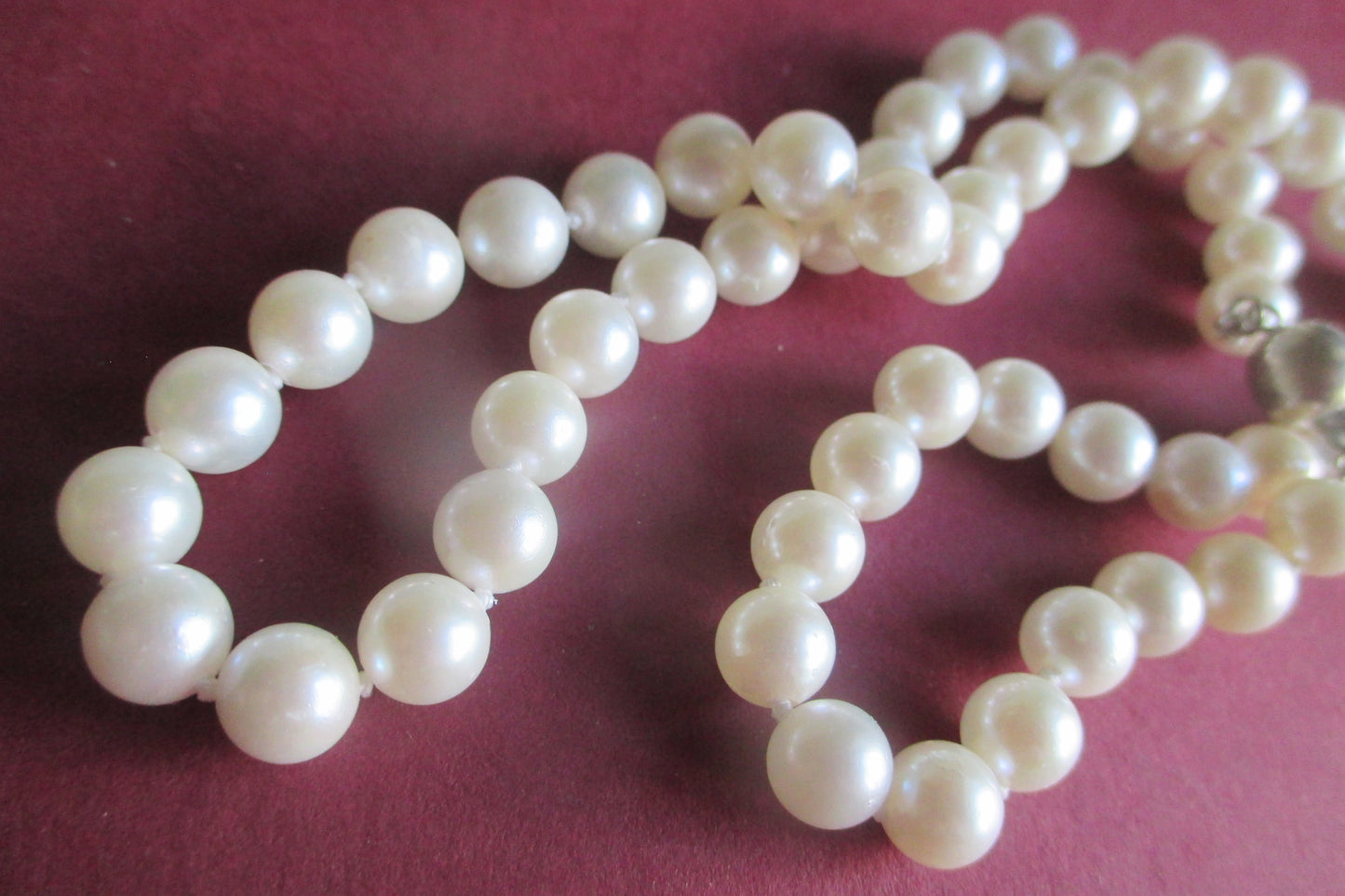 White sea water pearl necklace