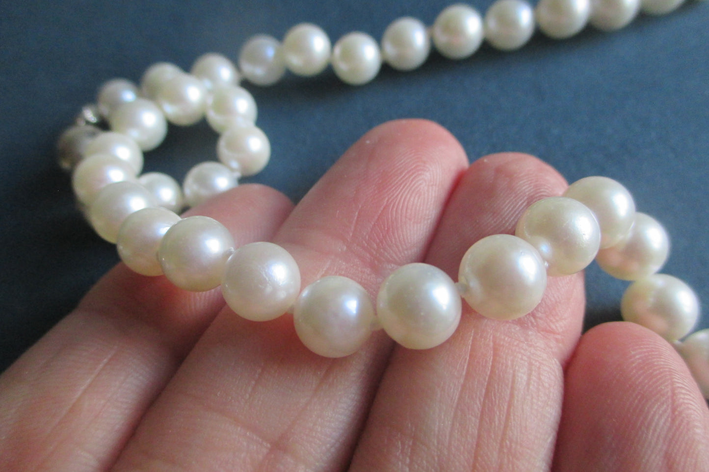 White sea water pearl necklace