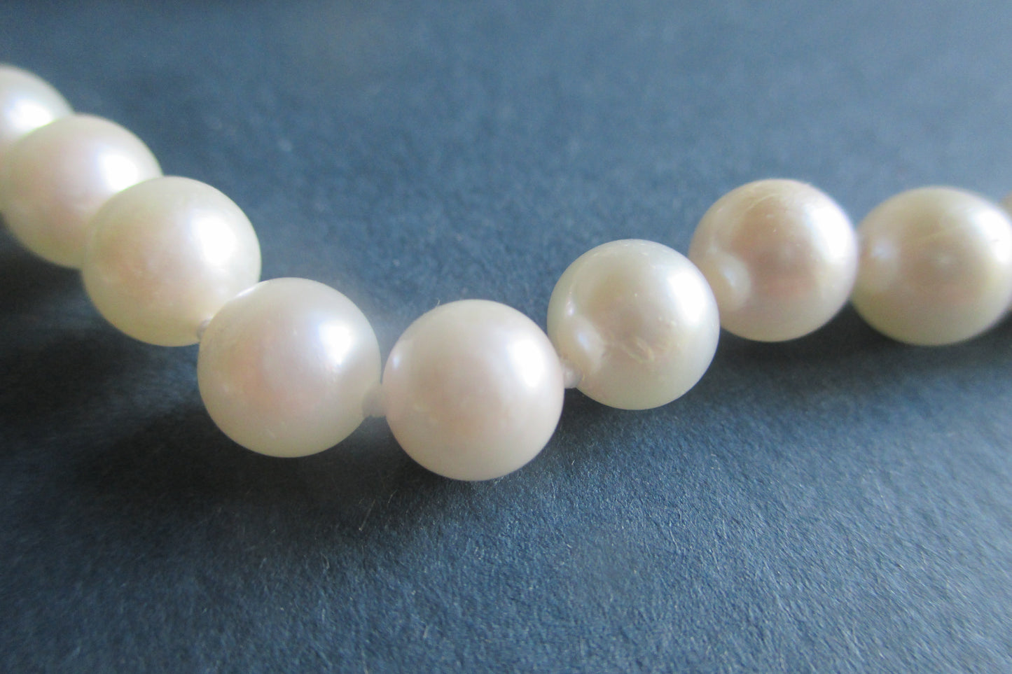 White sea water pearl necklace